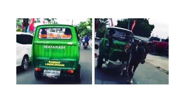 Mobil Bertenaga Kuda, Bahan Bakarnya Organik